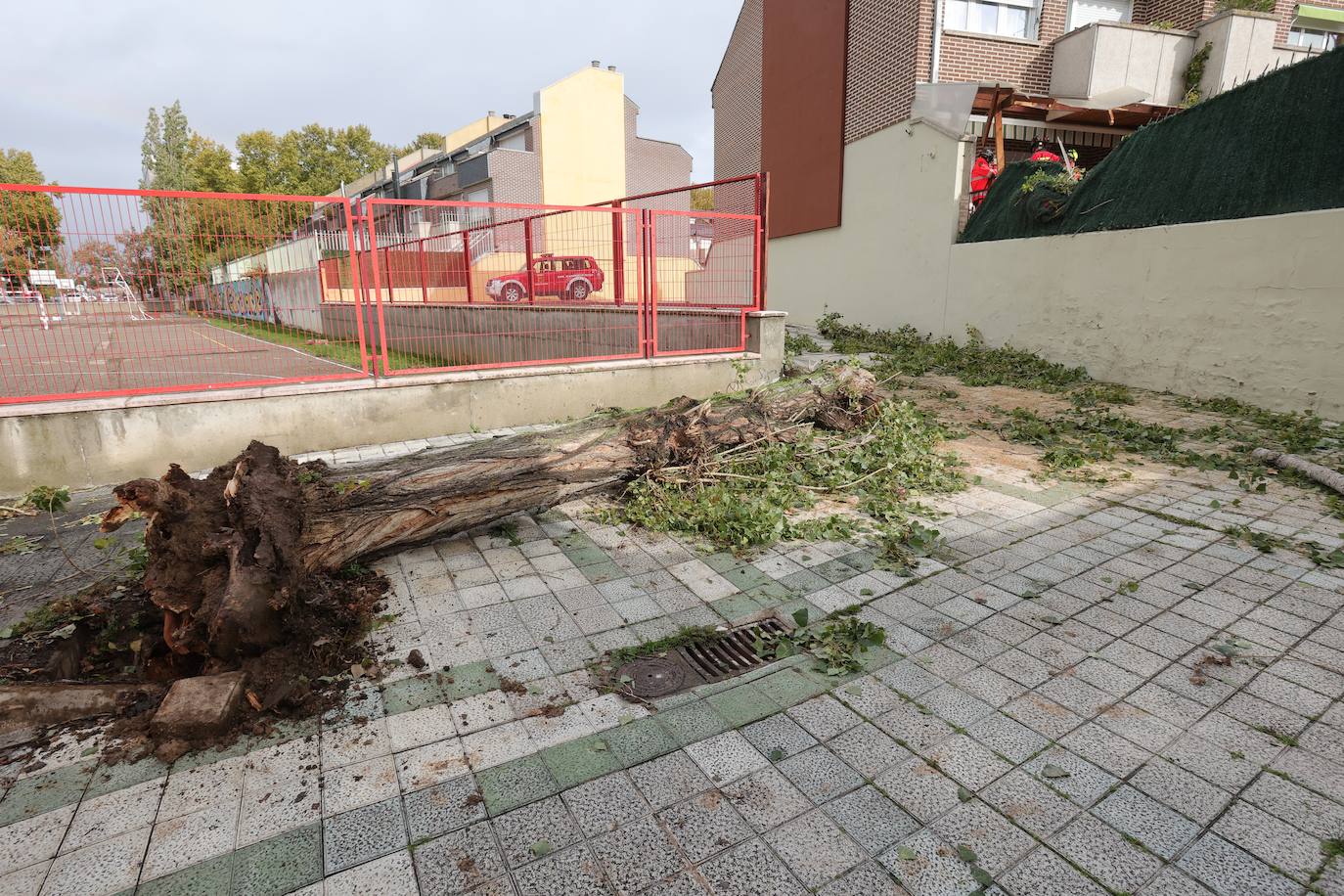 Los efectos del Ciarán en Palencia