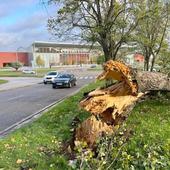 Continúa activa la alerta naranja por fuertes vientos en Castilla y León