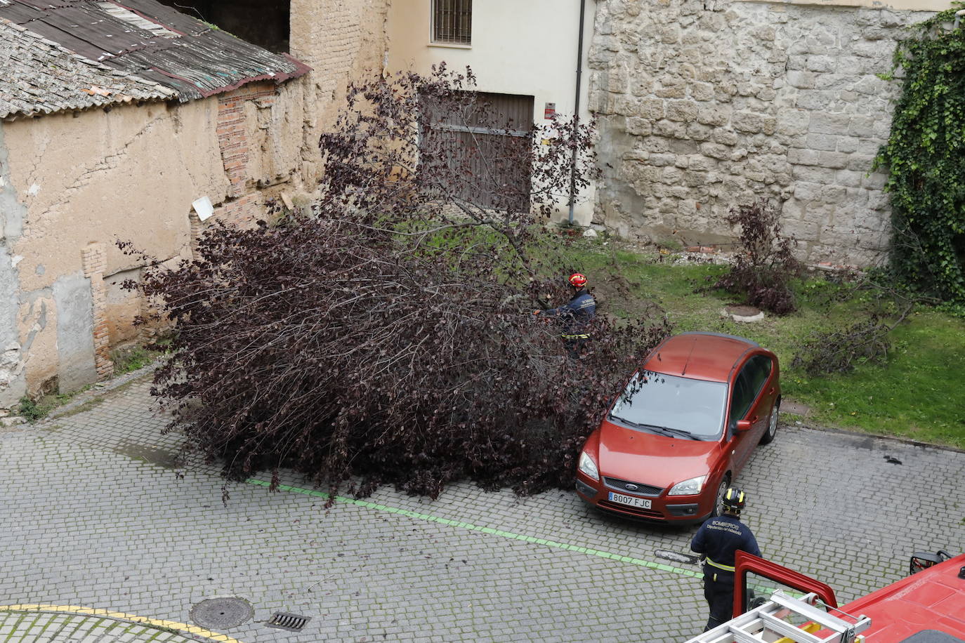 Los bomberos cortan la ramas para despejar la zona.