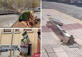 Árbol caído en Jardinillos, los bomberos quitan una persiana por seguridad y el viento tumba una señal en la calle San Antonio.