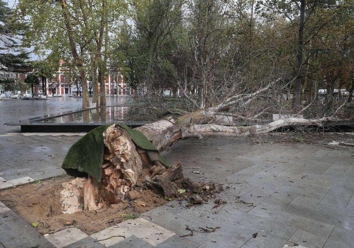 Los efectos de las borrascas Domingos y Ciarán en España, en imágenes