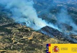 Incendio en El Hoyo de Pinares en junio de 2019.