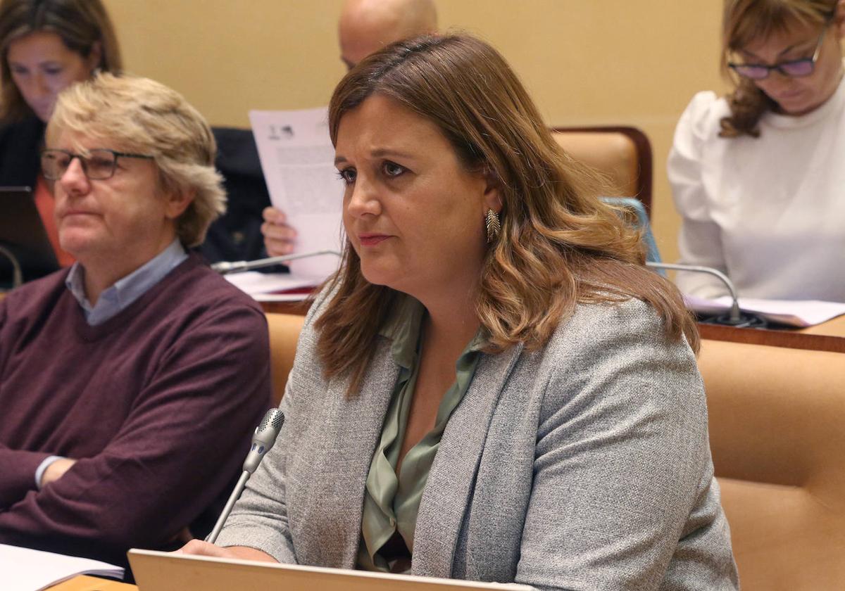 Clara Martín, durante el último pleno del Ayuntamiento de Segovia.