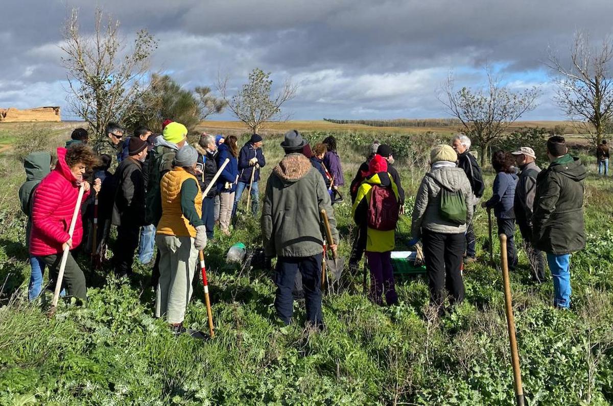 Plantación que tuvo lugar este domingo en Villalán de Campos.