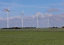 Vista de un parque eólico ubicado en la localidad palentina de Hornillos de Cerrato.