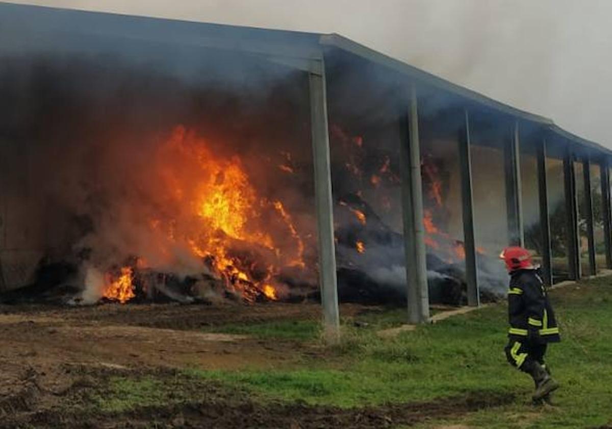 Incendio en una granja de Caleruega en el que han muerto 700 ovejas