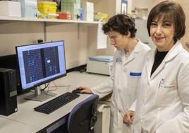 La doctora Alicia Armentia, en primer plano, y la técnico de Alergología, Blanca Martín, en el laboratorio.