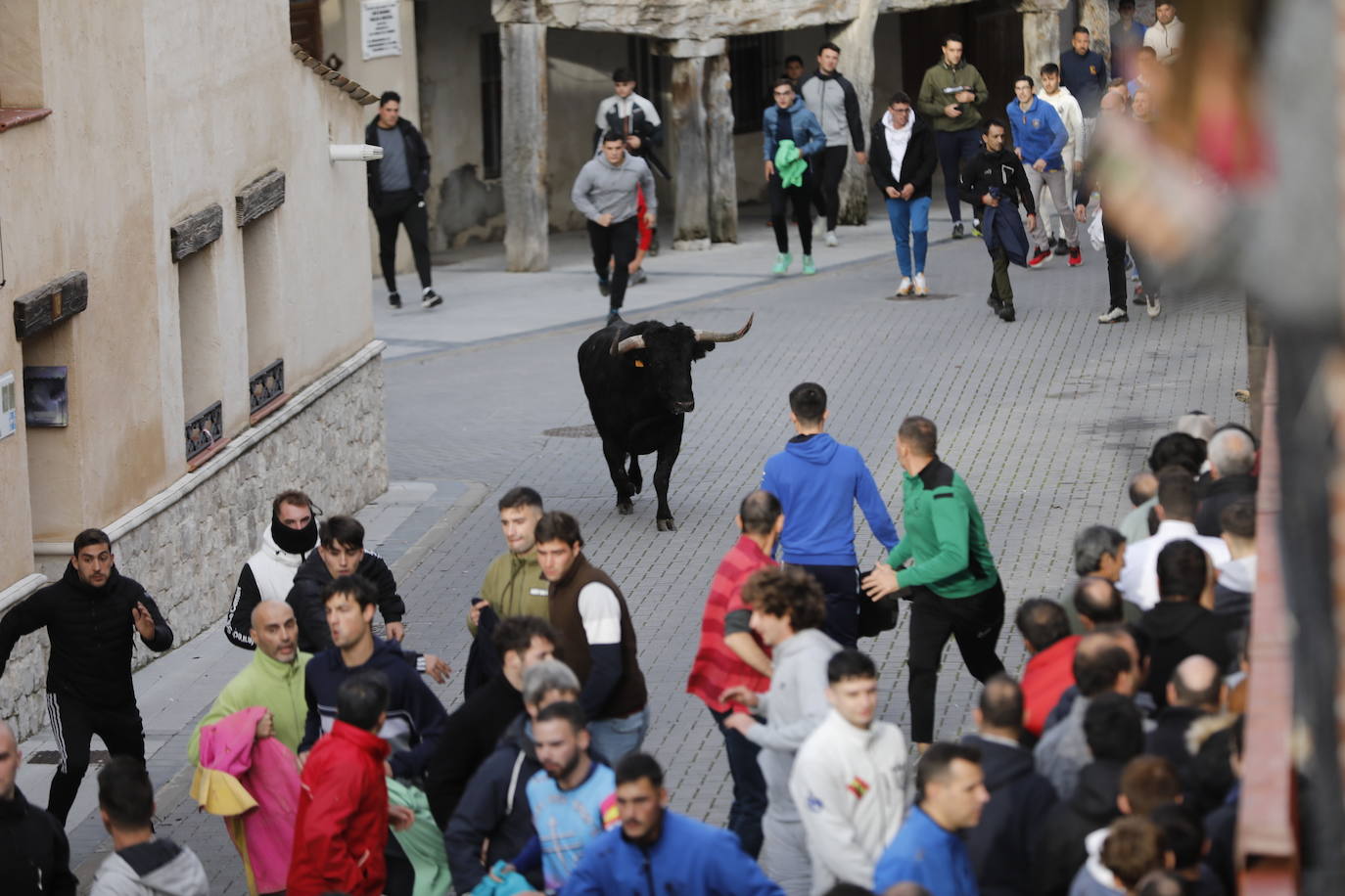 El encierro vespertino de Traspinedo, en imágenes
