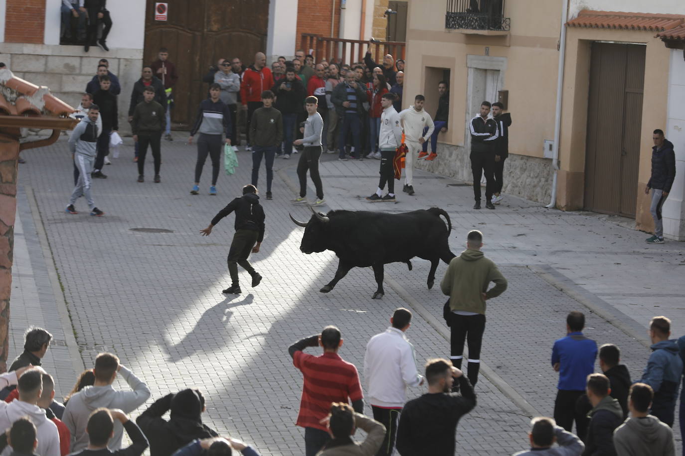 El encierro vespertino de Traspinedo, en imágenes