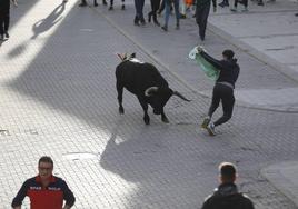 El encierro vespertino de Traspinedo, en imágenes