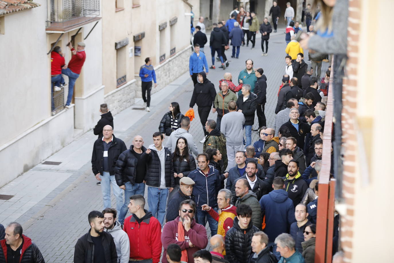 El encierro vespertino de Traspinedo, en imágenes