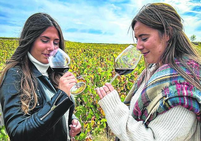 Cata de vino en viñedos de Ribera de Duero.