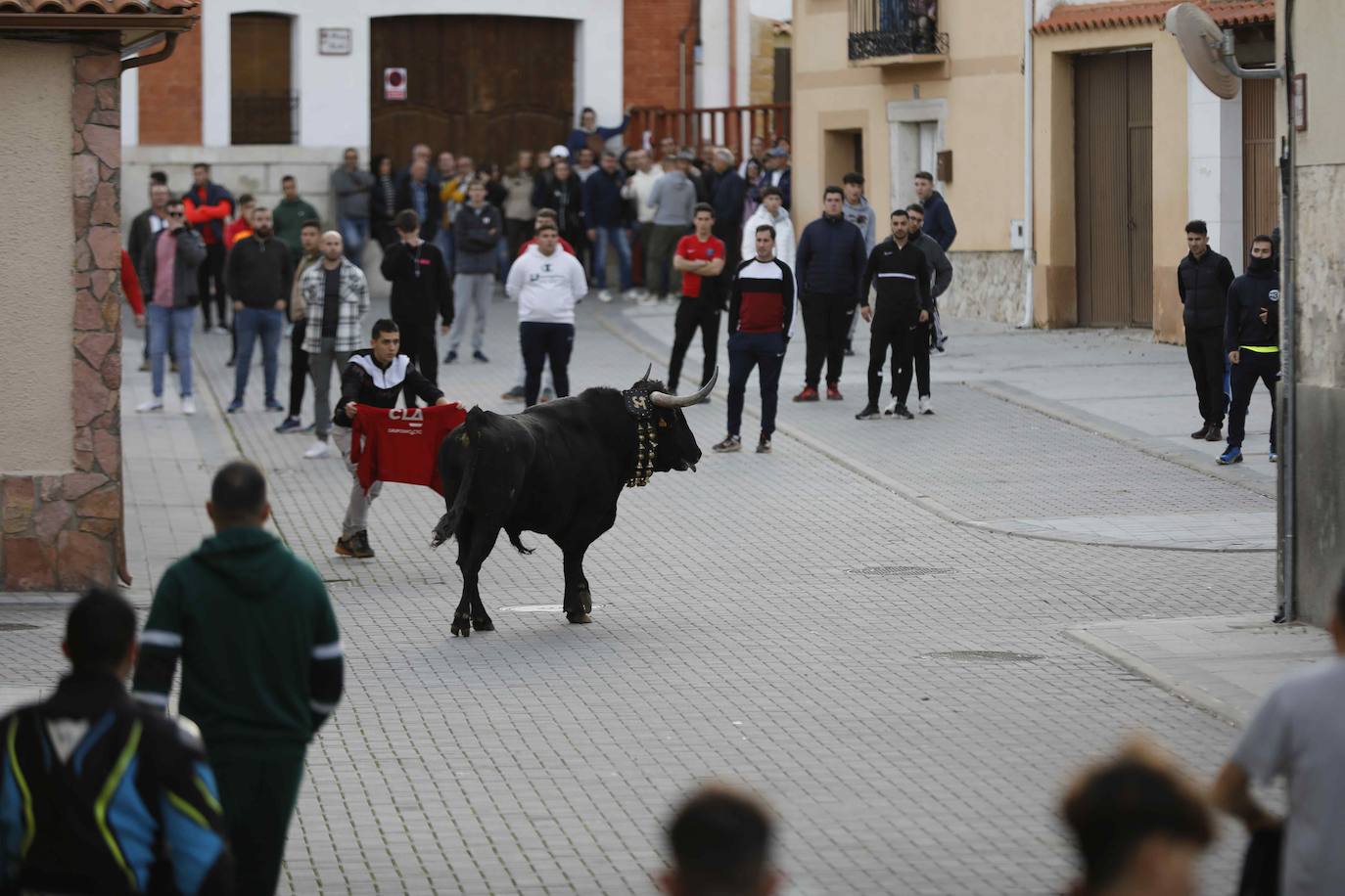 El encierro de Traspinedo, en imágenes