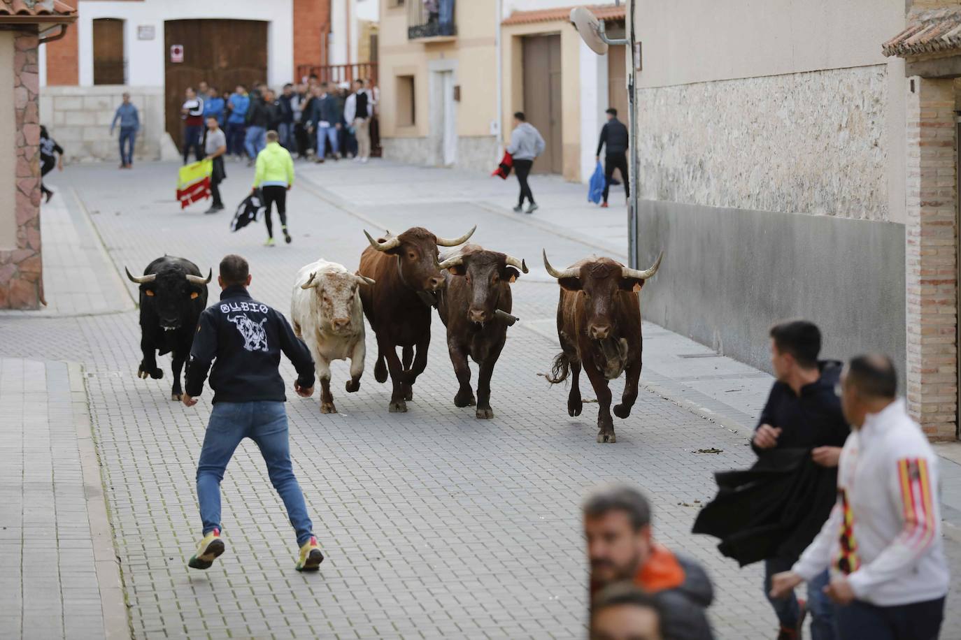 El encierro de Traspinedo, en imágenes