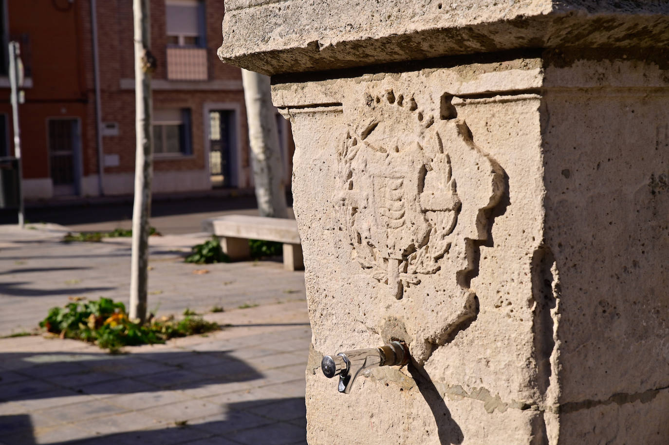 Un paseo en imágenes por la plaza de Carmen Ferreiro