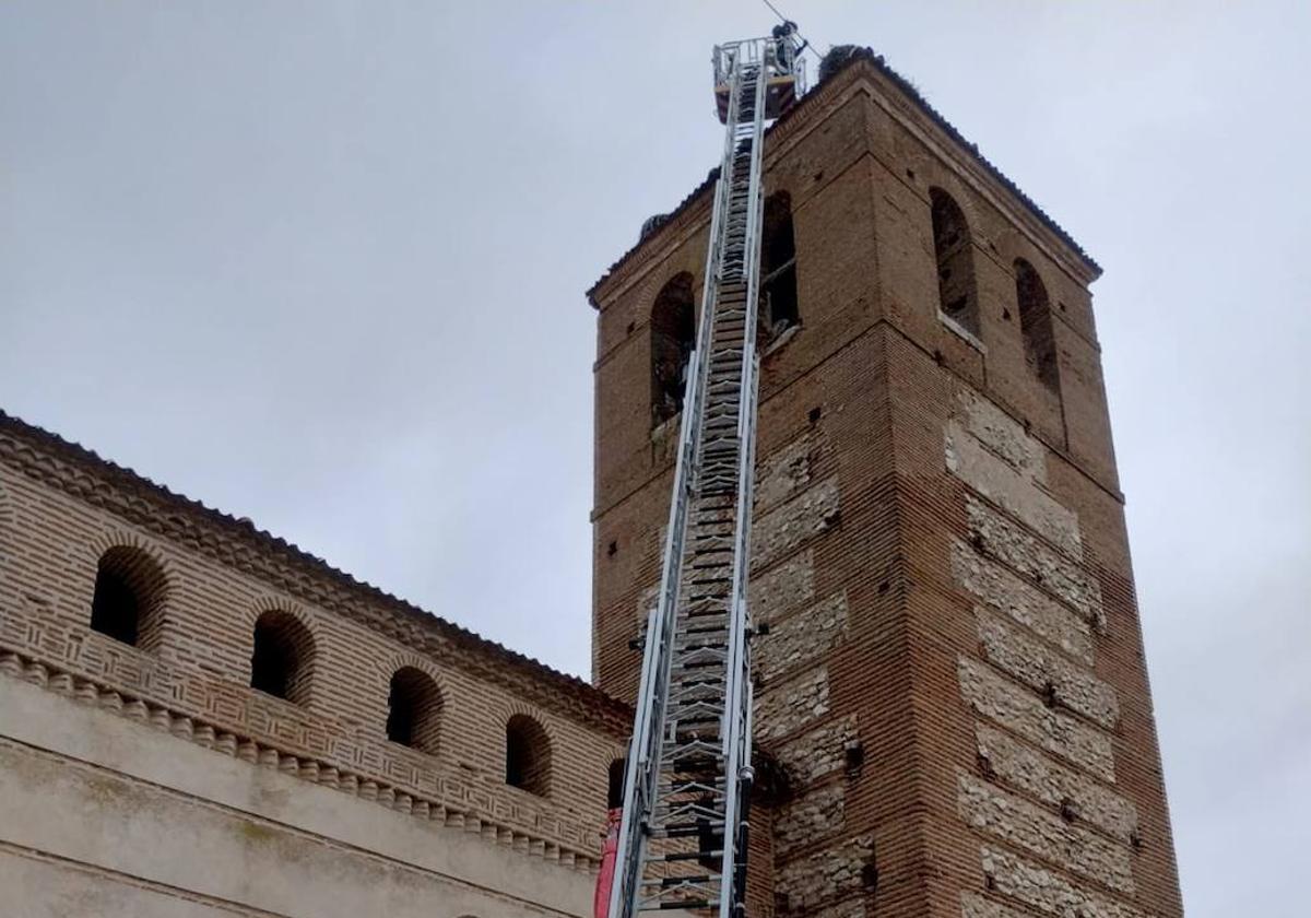 Los Bomberos de la Diputación retiran los nidos.