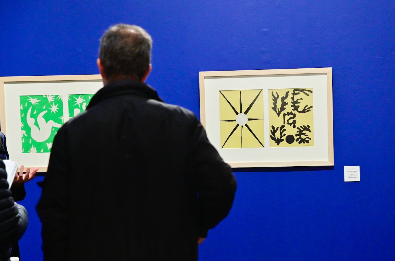 La exposición de las obras de Matisse en la Sala de las Francesas, en imágenes