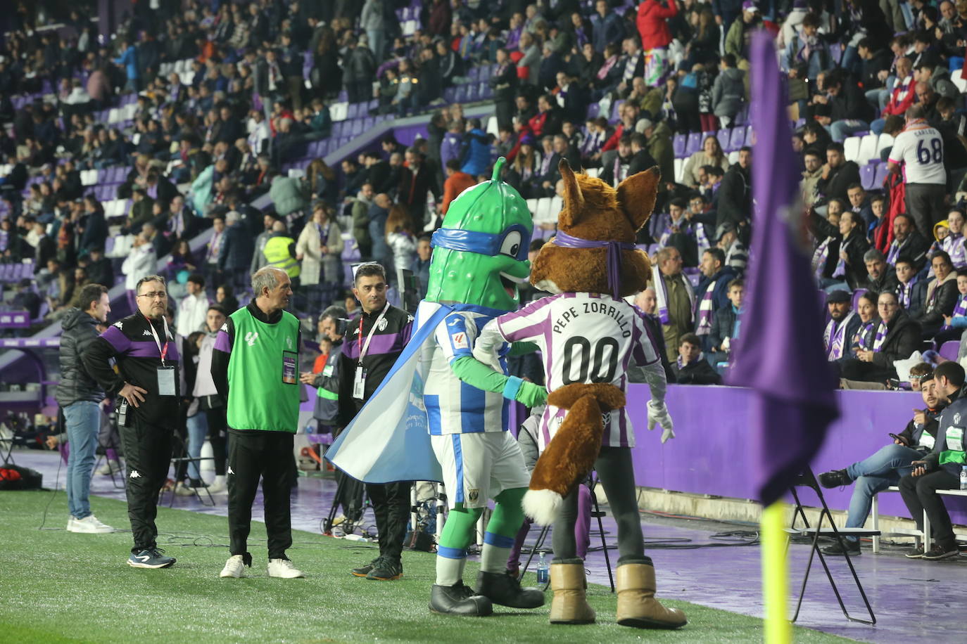 Búscate en las gradas del Estadio José Zorrilla (3 de 3)