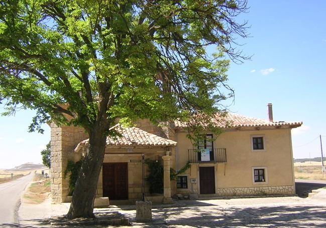 Castaño de indias frente a la ermita del Cristo de las Angustias en Torrelobatón