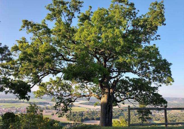 La Atalaya de Traspinedo se ubica en un mirador de impresionantes vistas