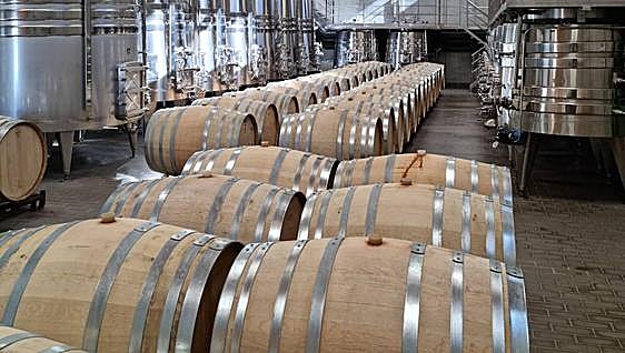 Ayudas por importe de 21,1 millones para inversiones en bodegas