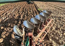 Los agricultores han conseguido avanzar con su actividad la pasada semana.