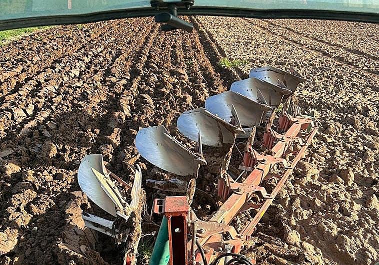 Los agricultores han conseguido avanzar con su actividad la pasada semana.