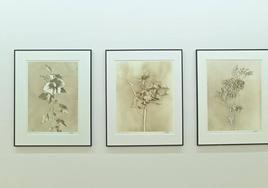Tres de las fotografías de Rafael Pablos.