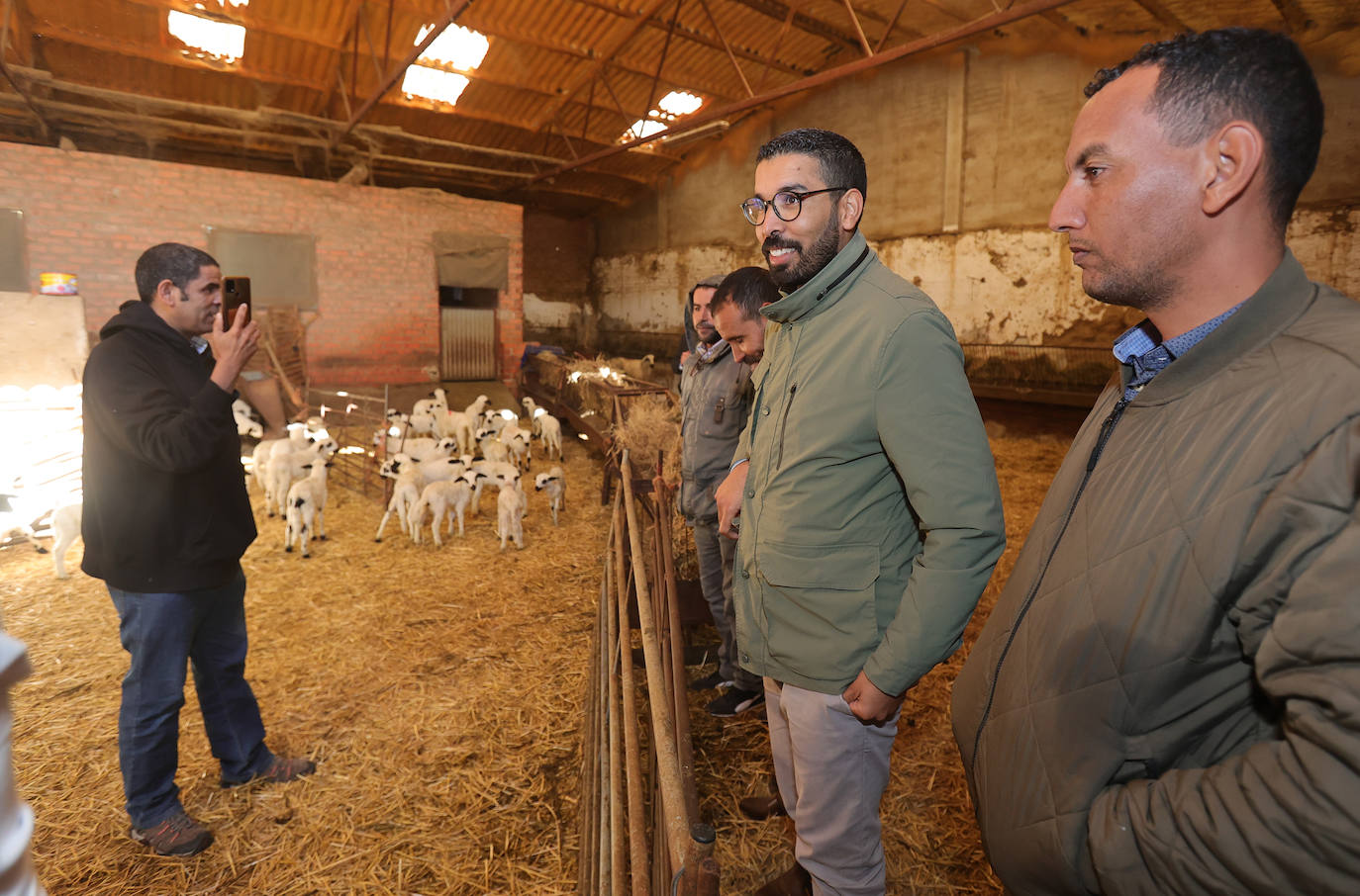 Un proyecto para que pastores saharauis trabajen en explotaciones ovinas de Palencia