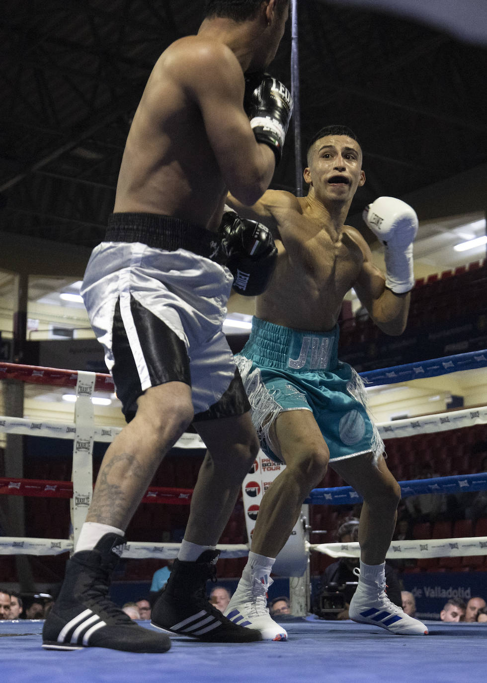 Imágenes del combate que ha dejado a Salvi sin el cinturón europeo