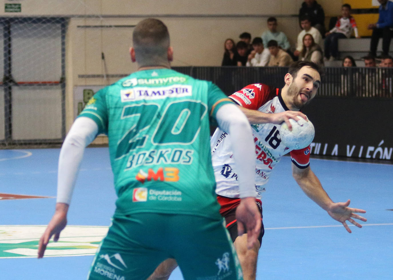 Victoria de Balonmano Nava ante el Puente Genil (27-26)