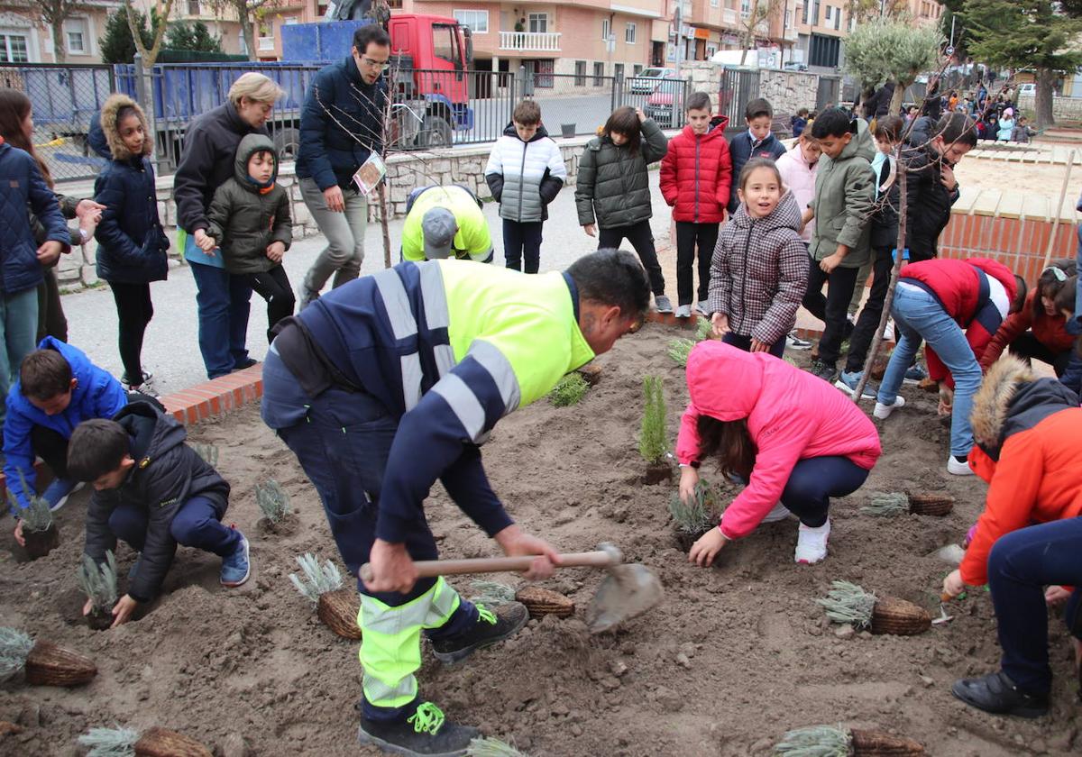 Un momento de la plantación.