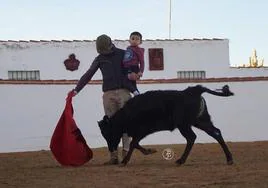 El matador Damián Castaño torea a la vaquilla con un niño en brazos, en Alaejos.