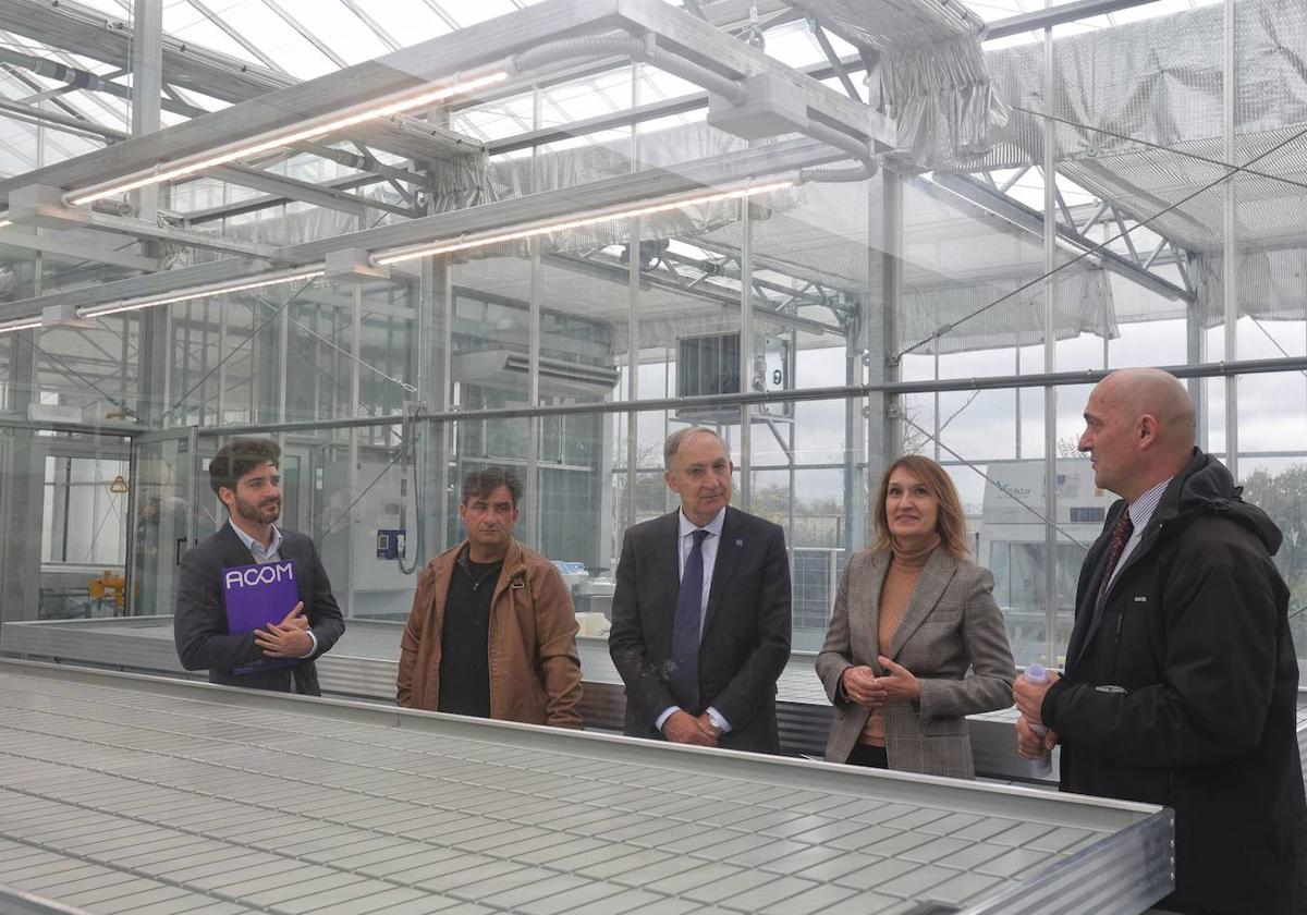 Julio Díez Casero, a la derecha, con la consejera y el rector, visitan el invernadero.