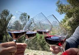 Un brindis con vinos de Cigales.