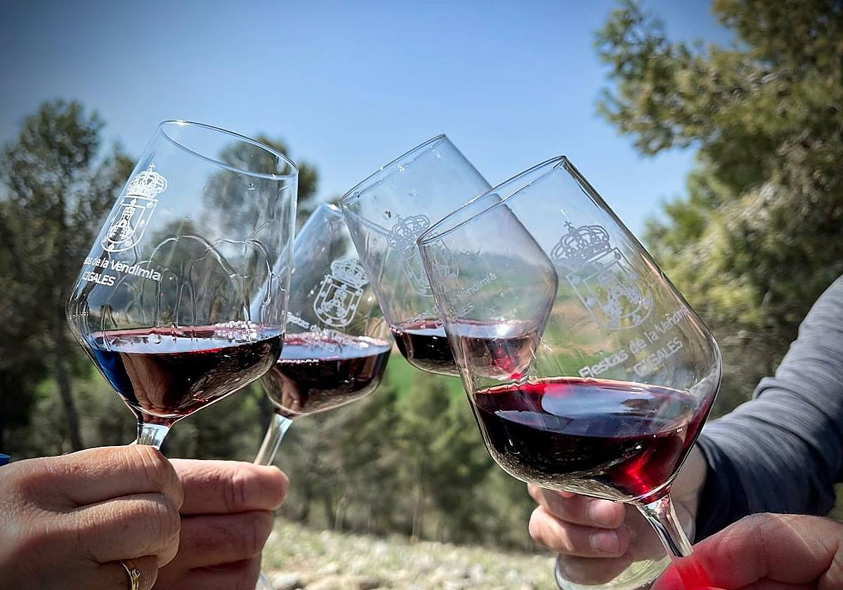 Un brindis con vinos de Cigales.