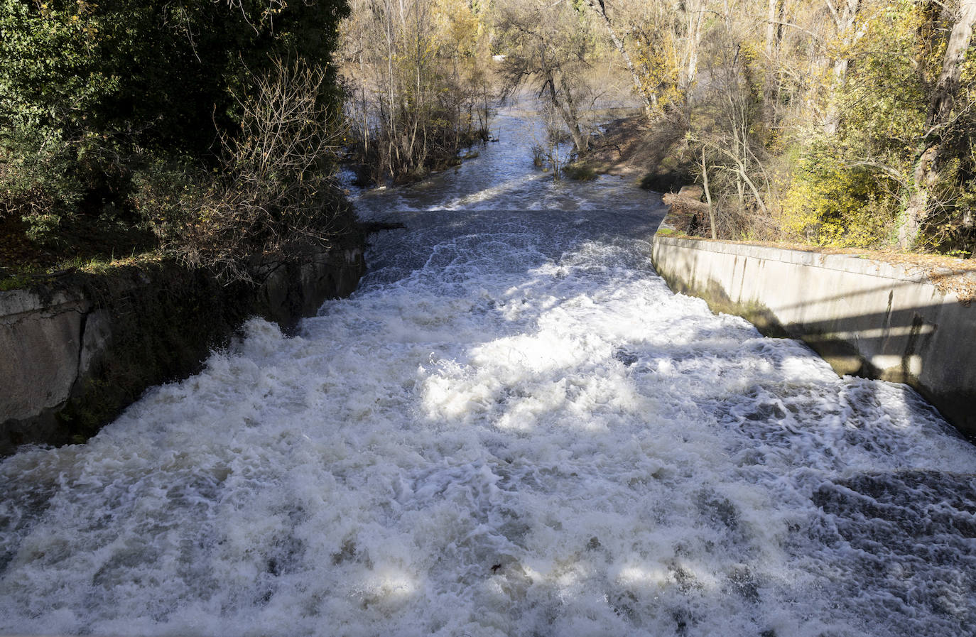 Crecida del río Esgueva por el paseo del Cauce