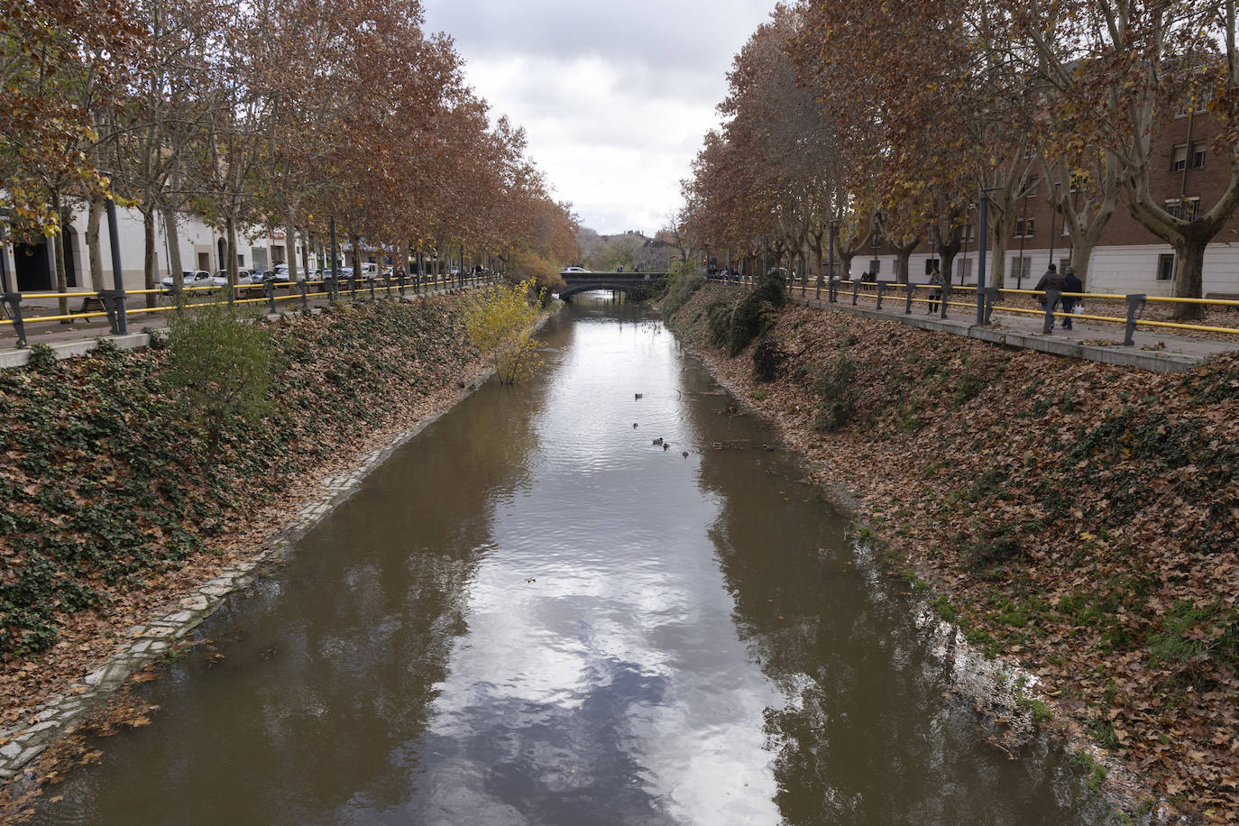 Crecida del río Esgueva por el paseo del Cauce