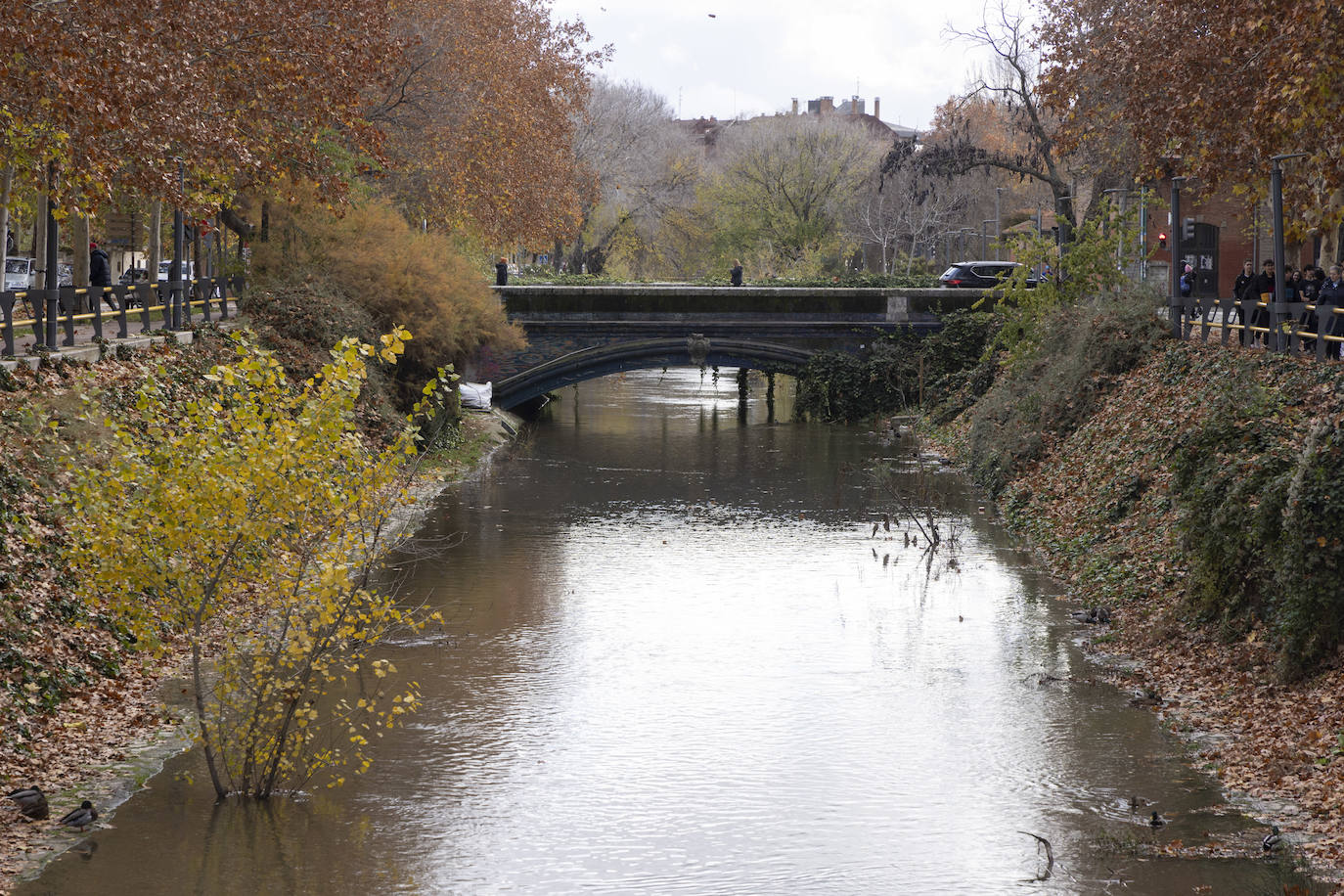 Crecida del río Esgueva por el paseo del Cauce