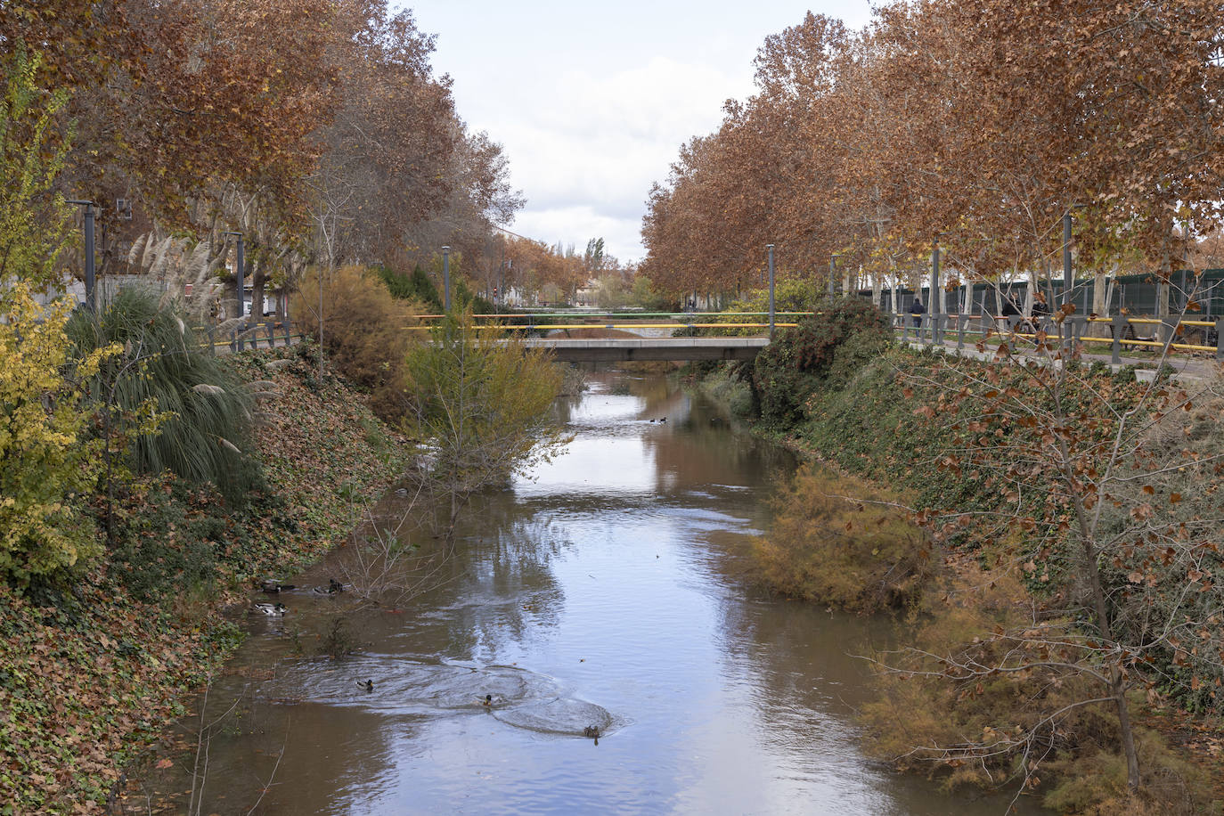 Crecida del río Esgueva por el paseo del Cauce