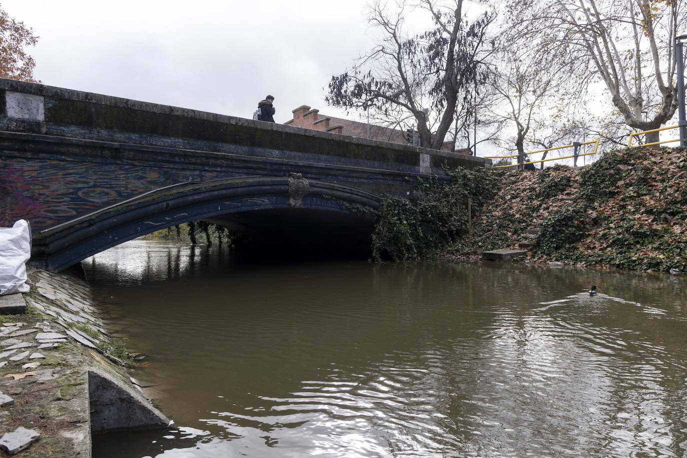 Crecida del río Esgueva por el paseo del Cauce