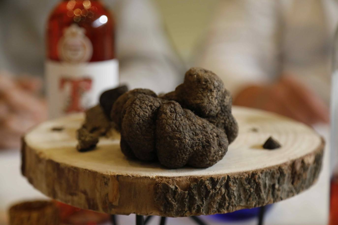 Concurso Nacional de Trufa Negra de Cogeces del Monte