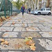 Un paseo por la historia de España a través de una avenida de Valladolid