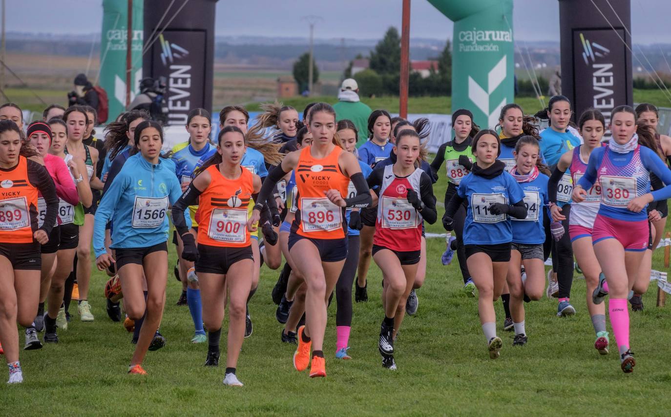 El Cross de Cantimpalos, en imágenes