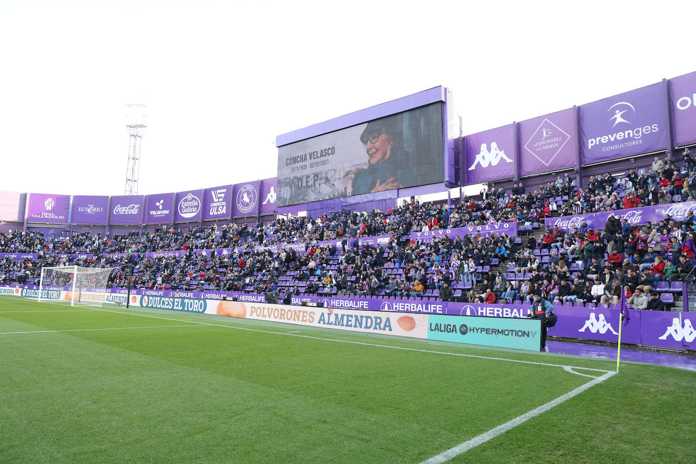 En imágenes, el partido del Real Valladolid frente al SD Amorebieta