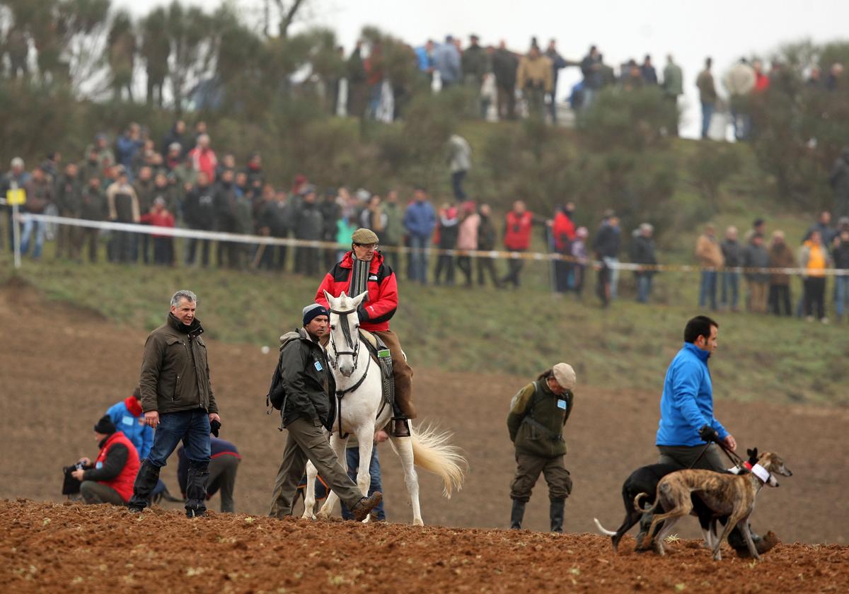 Celebración del campeonato de galgos en Nava del Rey en una edición anterior.