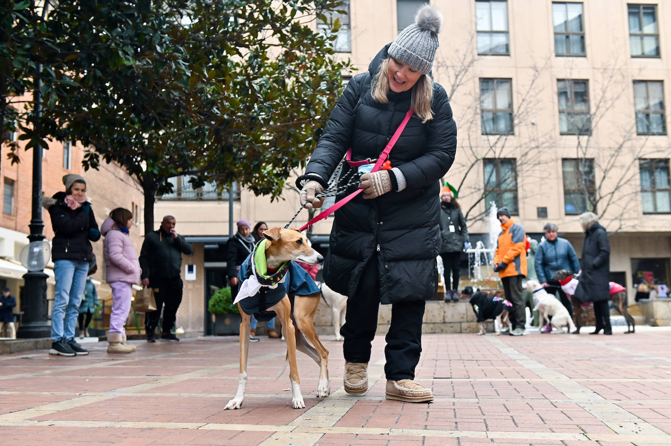 El mercadillo navideño Animalid, en imágenes