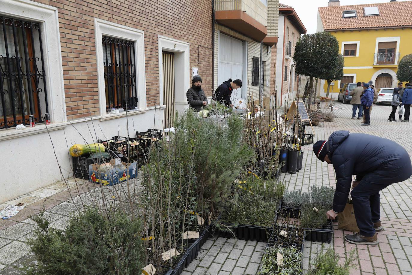 La Feria de Invierno de Piñel de Abajo, en imágenes