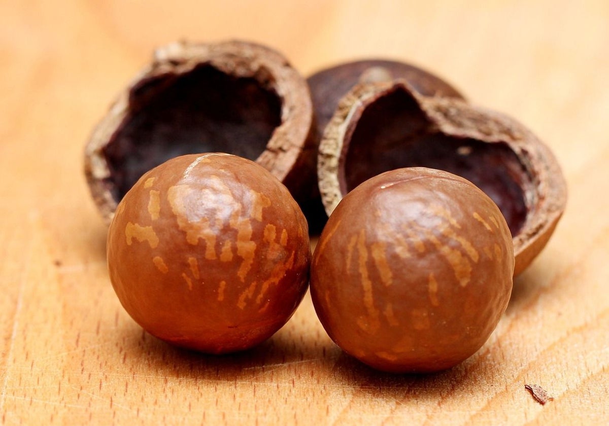 Nueces de macadamia, aporta grasas monoinsaturadas y antioxidantes