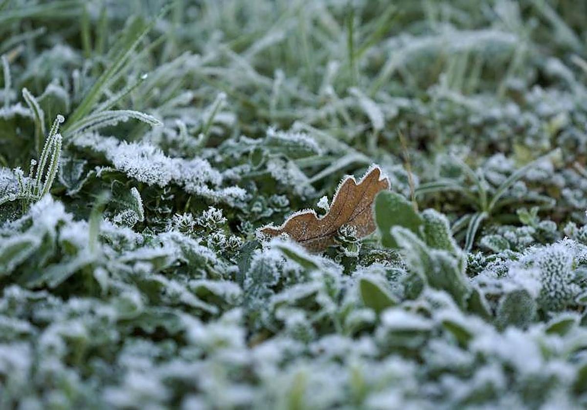 Aviso amarillo por nieblas engelantes en seis provincias de Castilla y León